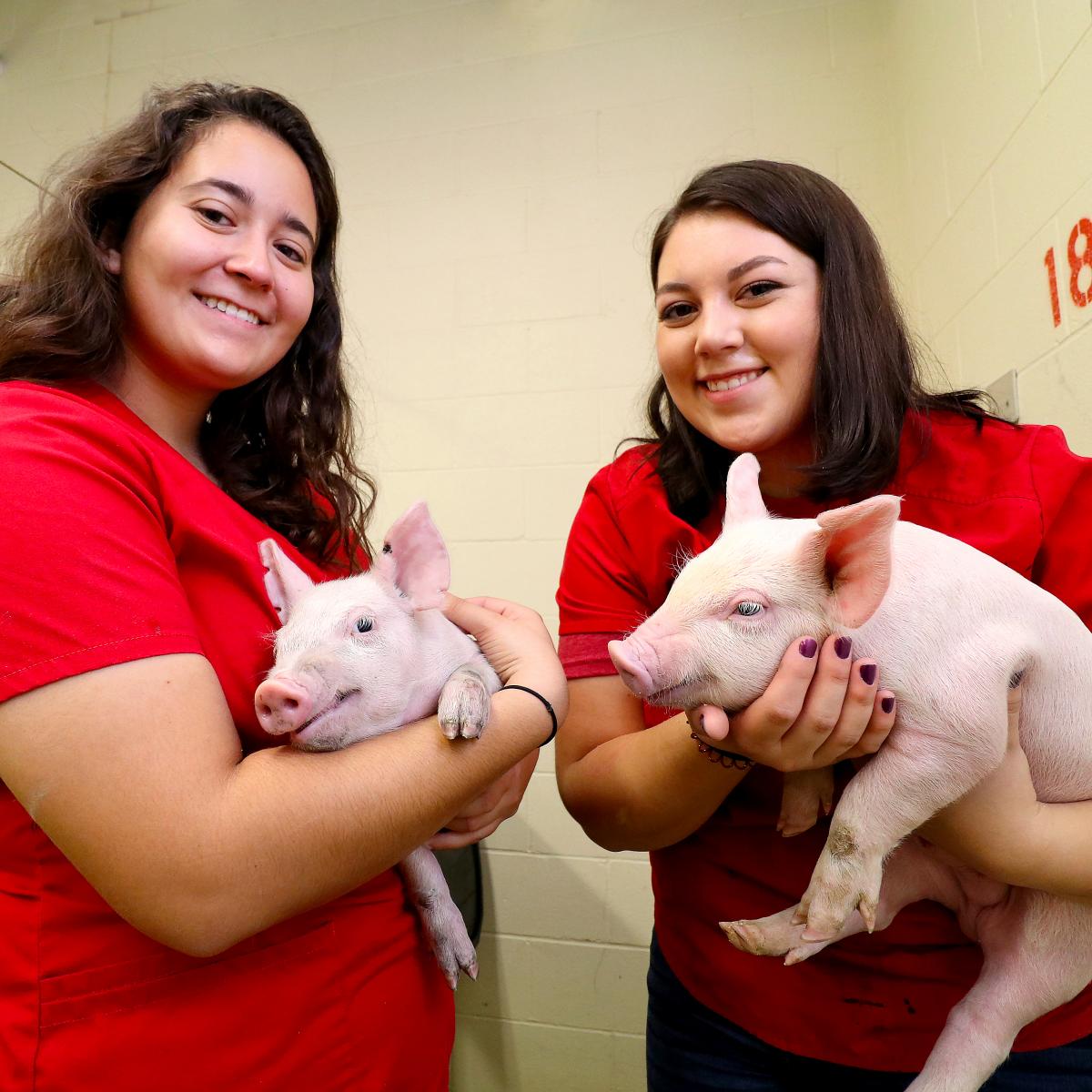 2 female students holding 2 piglets
                                    each