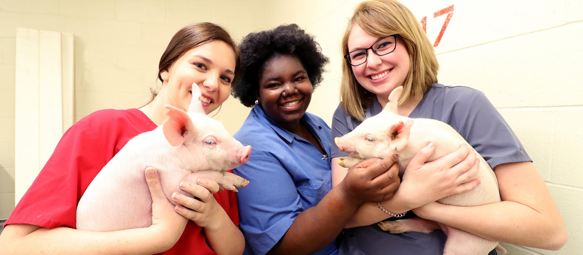 Three students pose for a picture with two
                                piglets