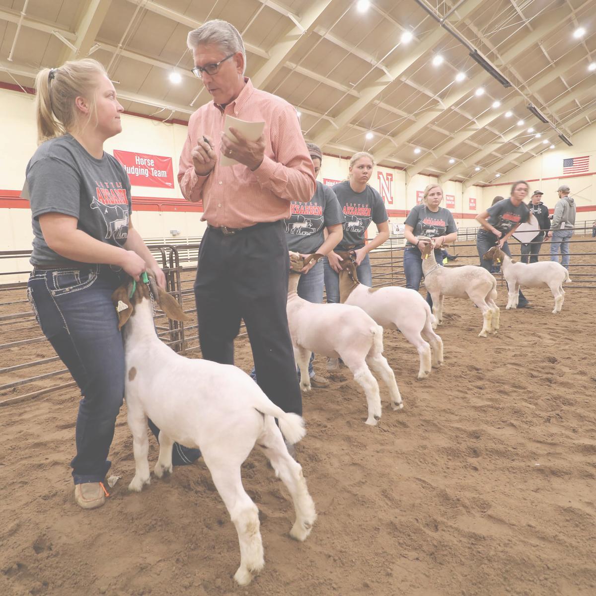 A team of student with their sheep being
                            evaluated by a man