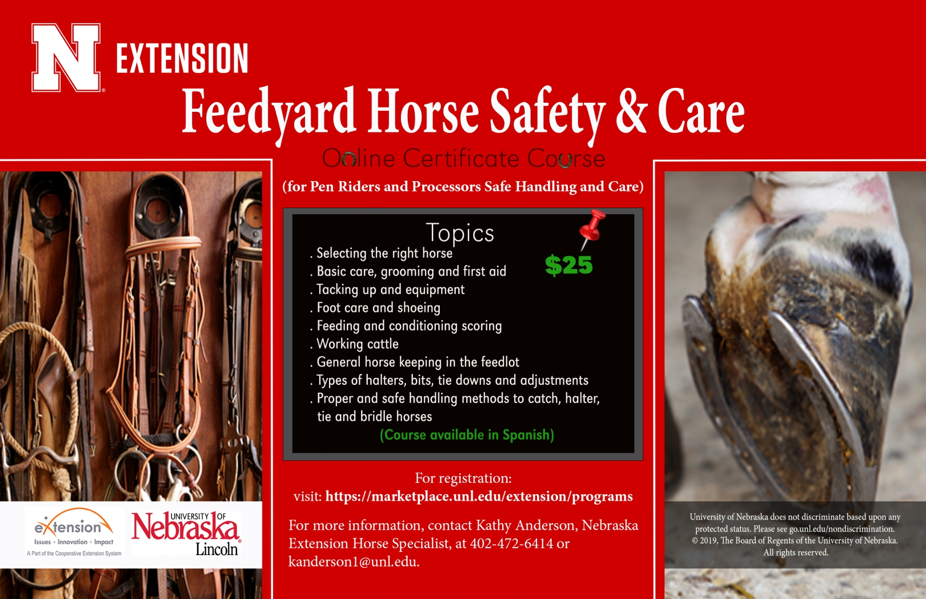 Pen Rider and Processors Horse Safety and Care Certificate Course flyer