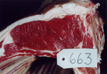 663 meat