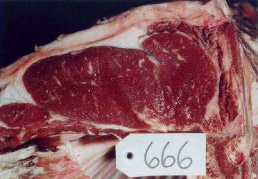 666 meat