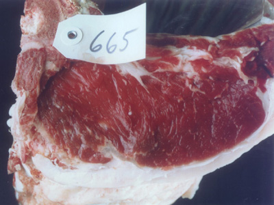 665 meat