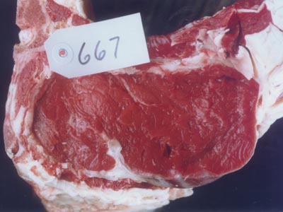 667 meat
