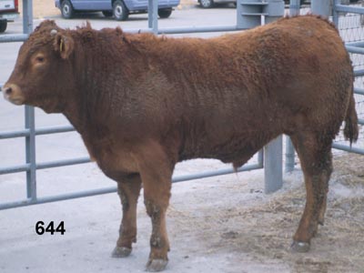 Number 644 in fabrication cattle list