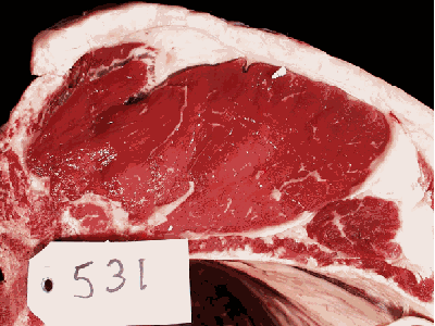 531 meat