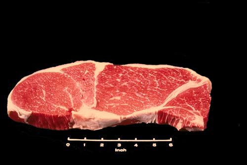 Photo of a Bottom Round Steak