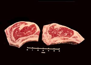 Photo of a Rib Steak Large & Small End