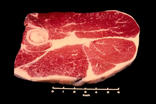 Beef Meat Identification | Animal Science