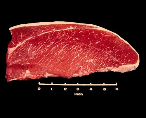 Photo of a Top Round Steak