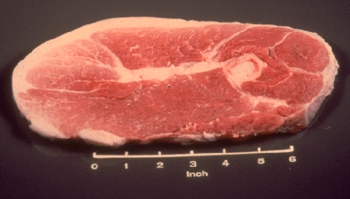 Photo of Pork Fresh Ham(Leg) Center Slice
