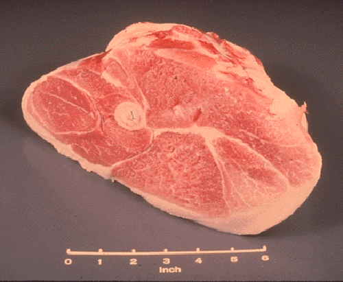 Photo of Pork Fresh Ham(Leg) Rump Portion