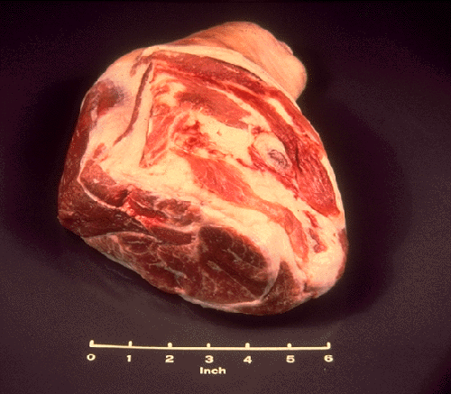 Photo of Pork Shoulder Arm Picnic Roast