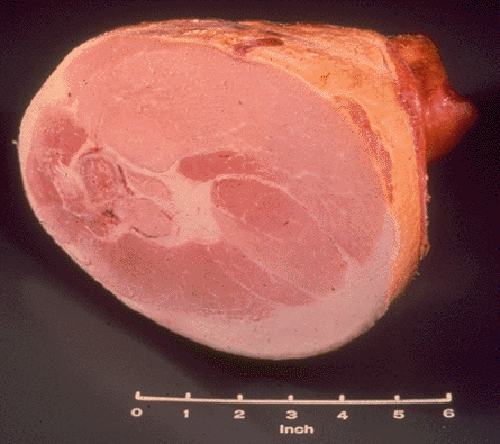 Photo of Pork Smoked Ham Shank Portion