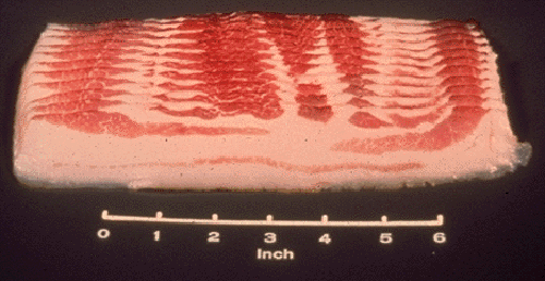 Photo of Sliced Bacon