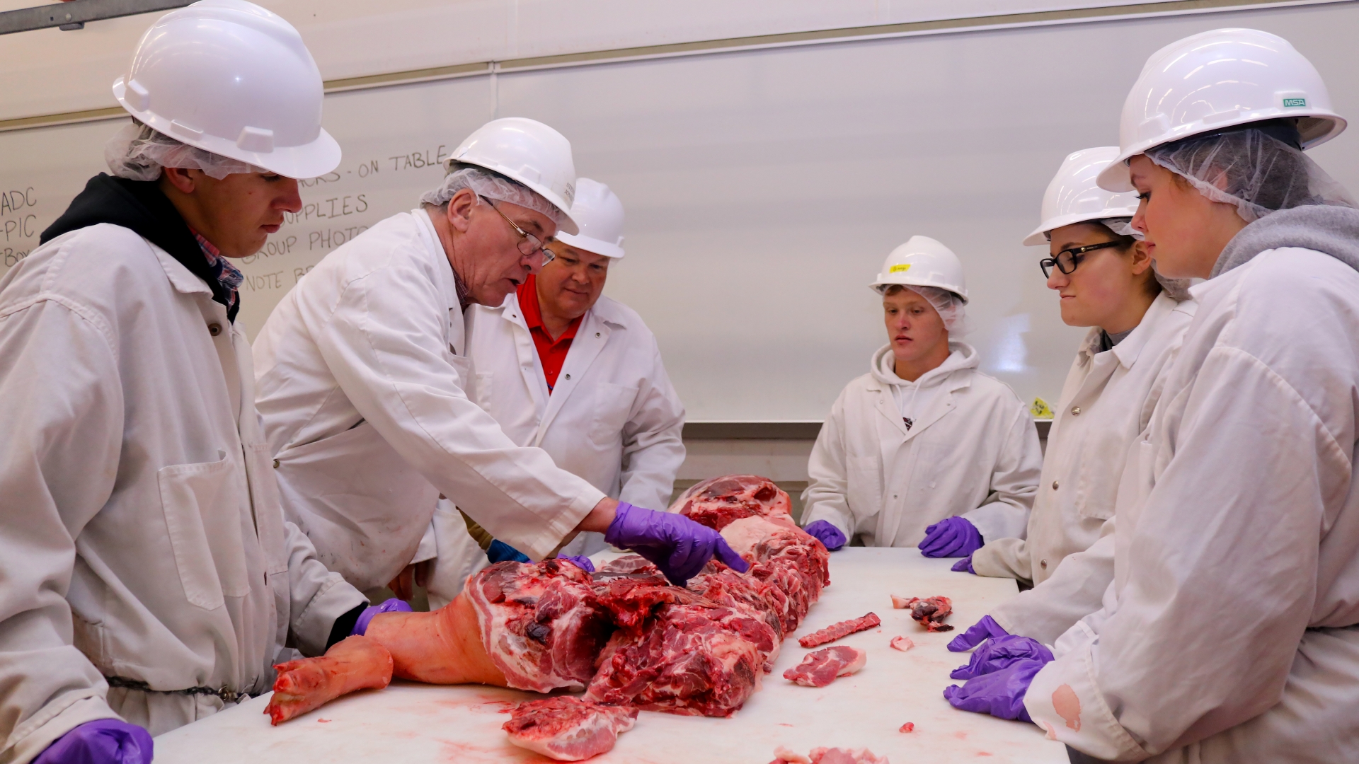 Some students evaluating meat that is hanging.