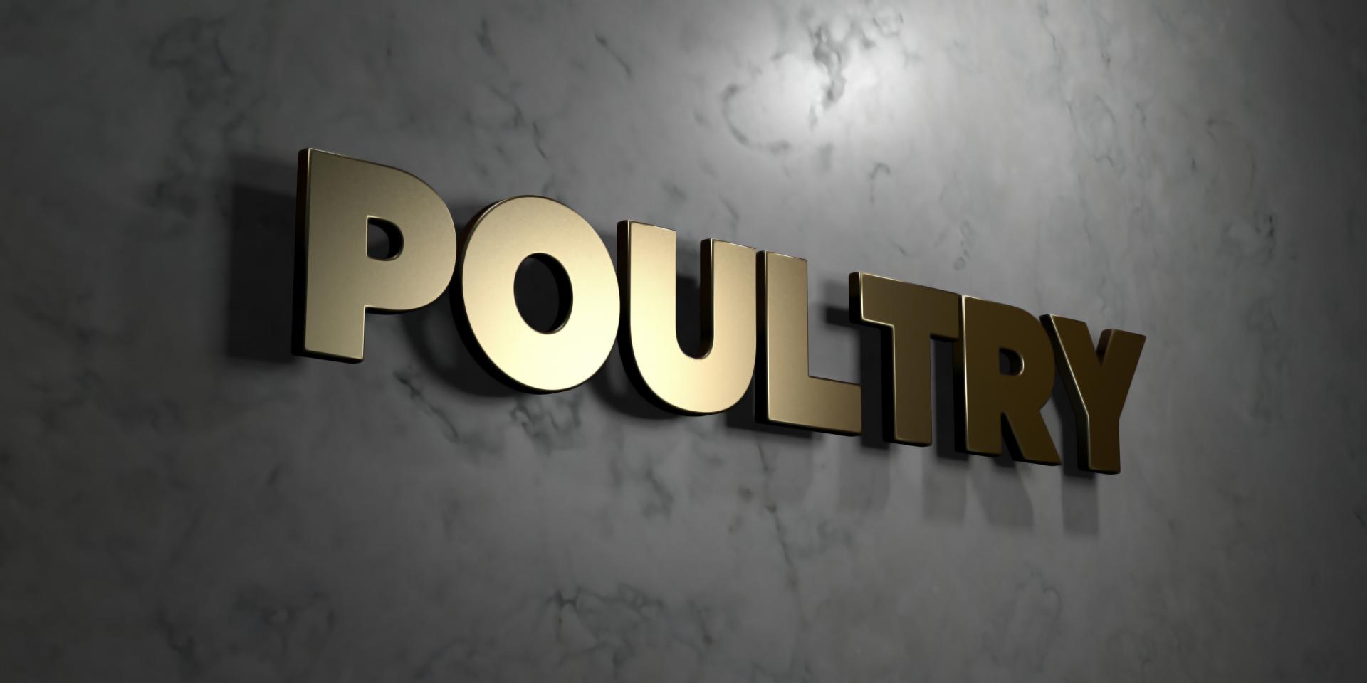 poultry banner