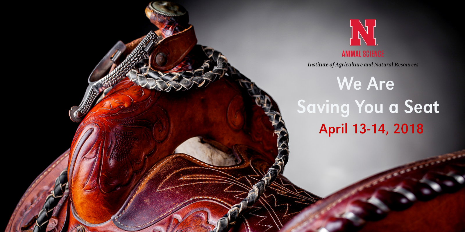 Western Horse saddle promo image