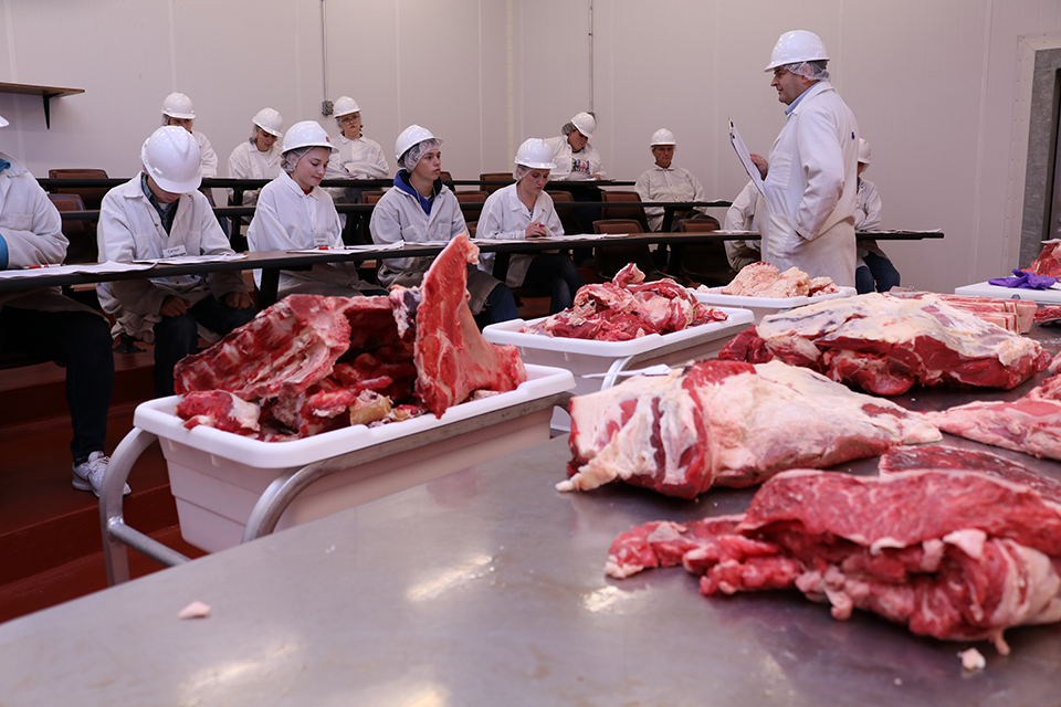 Participants learning the different cuts of meats