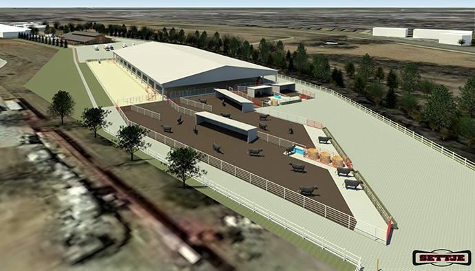 Equine Sports Complex Rendering from Above Southeast