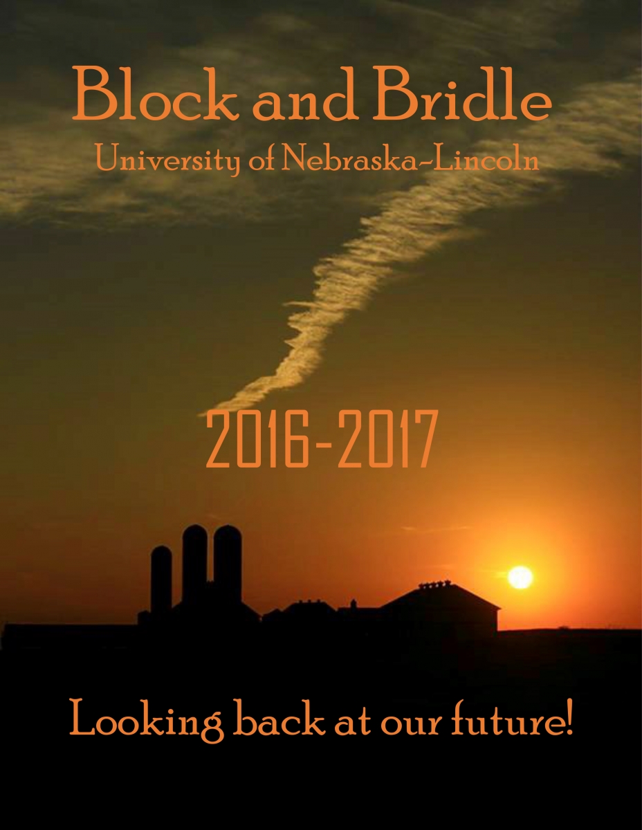 2016-2017 annual PDF