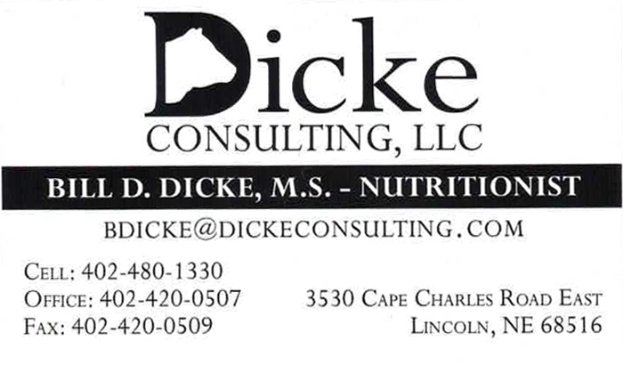 Dicke Consulting logo