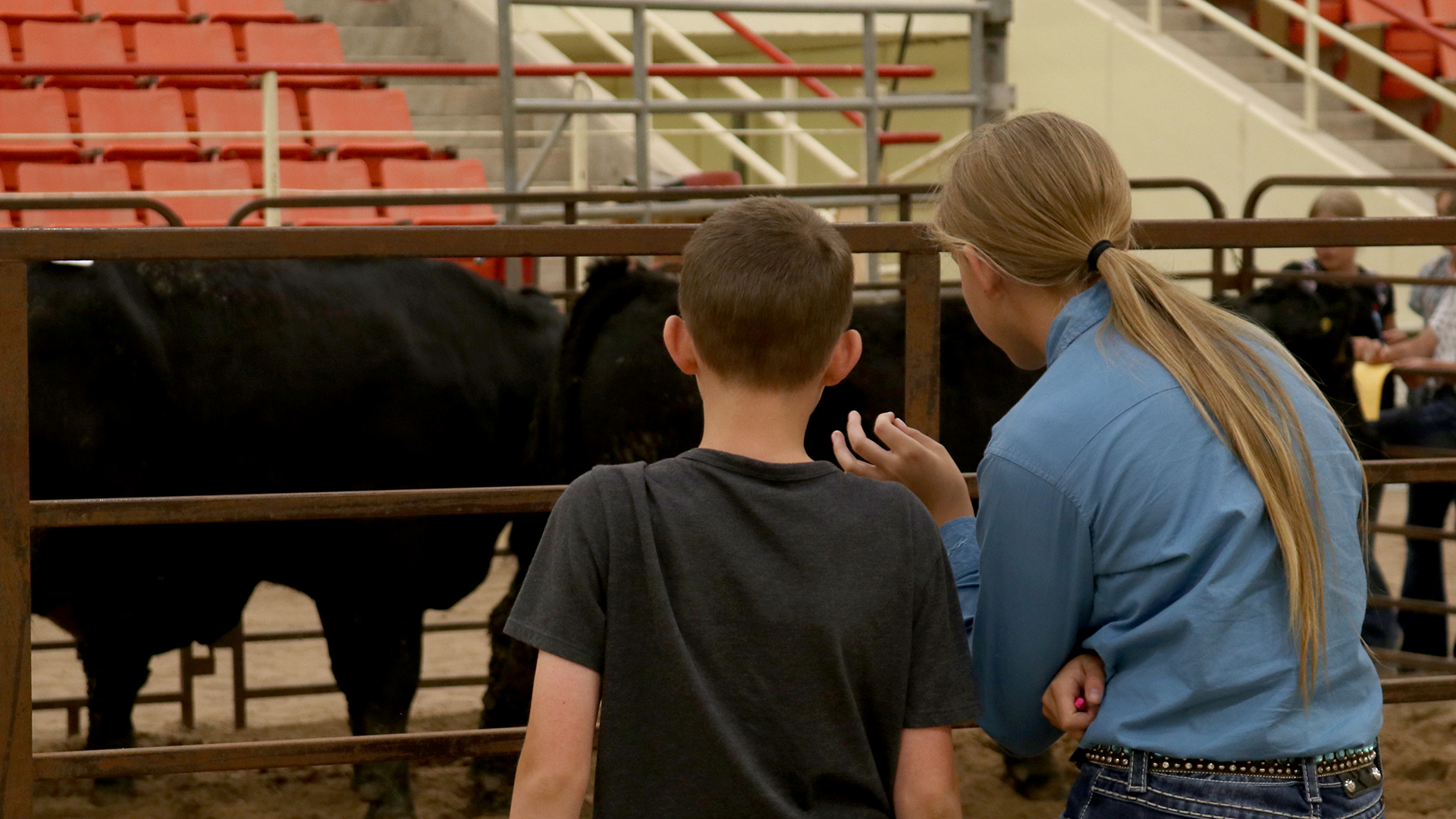 two youth judging livestock.