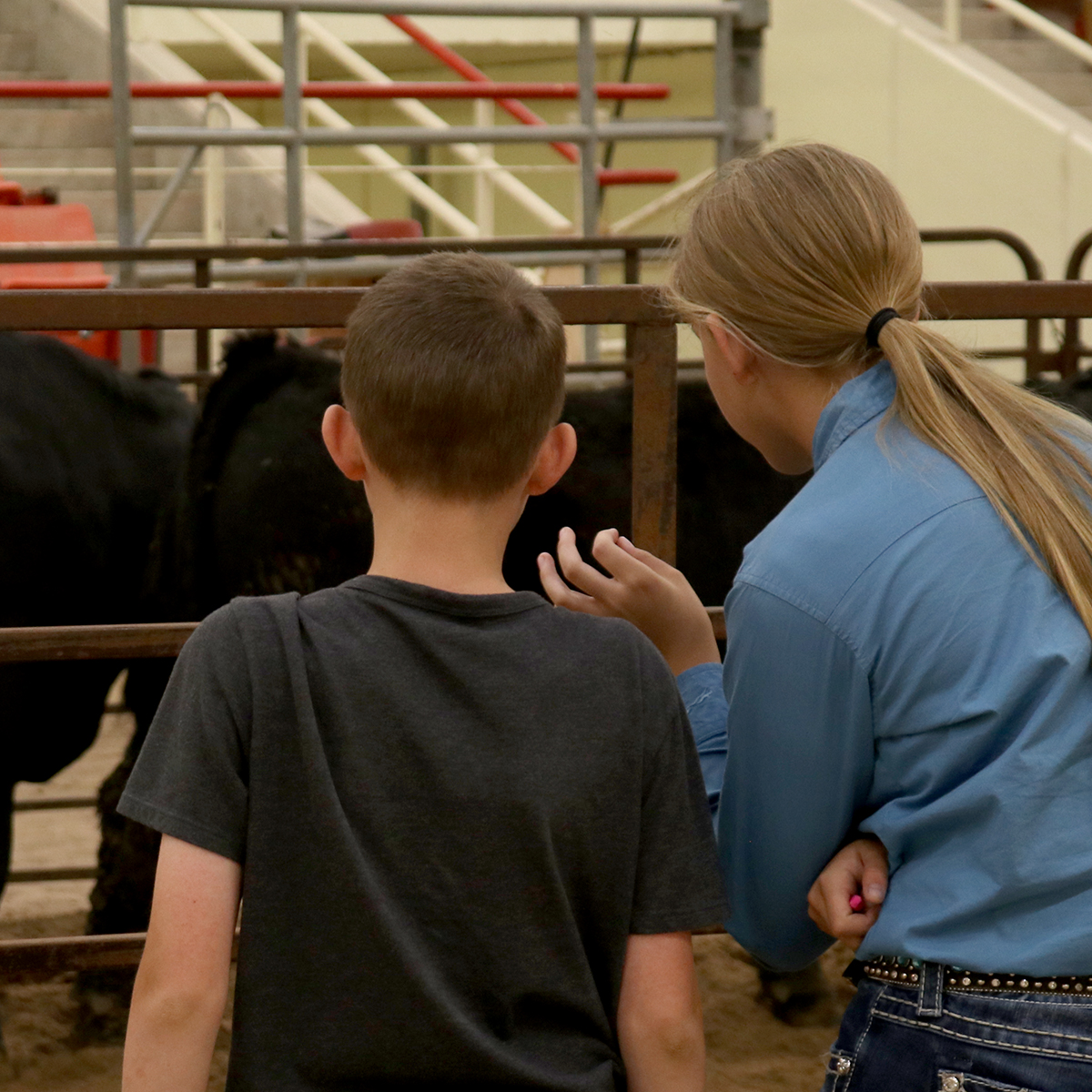 Two Youth Livestock Judging