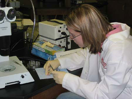 Working in Dr. Cupp's lab