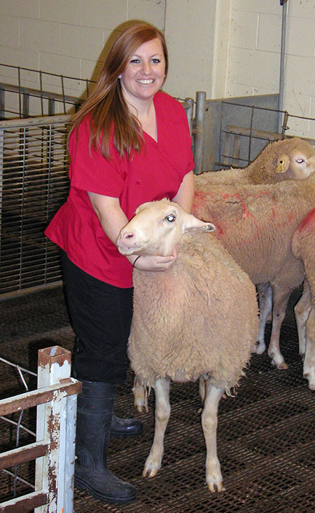 Kristin Beede with a sheep