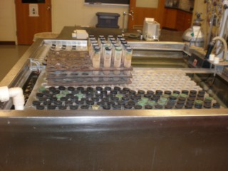 Picture of Lab Samples