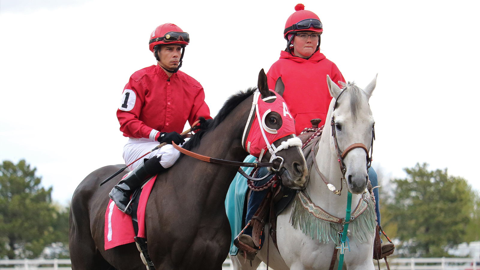 A horse prepares to race at Fonner Park