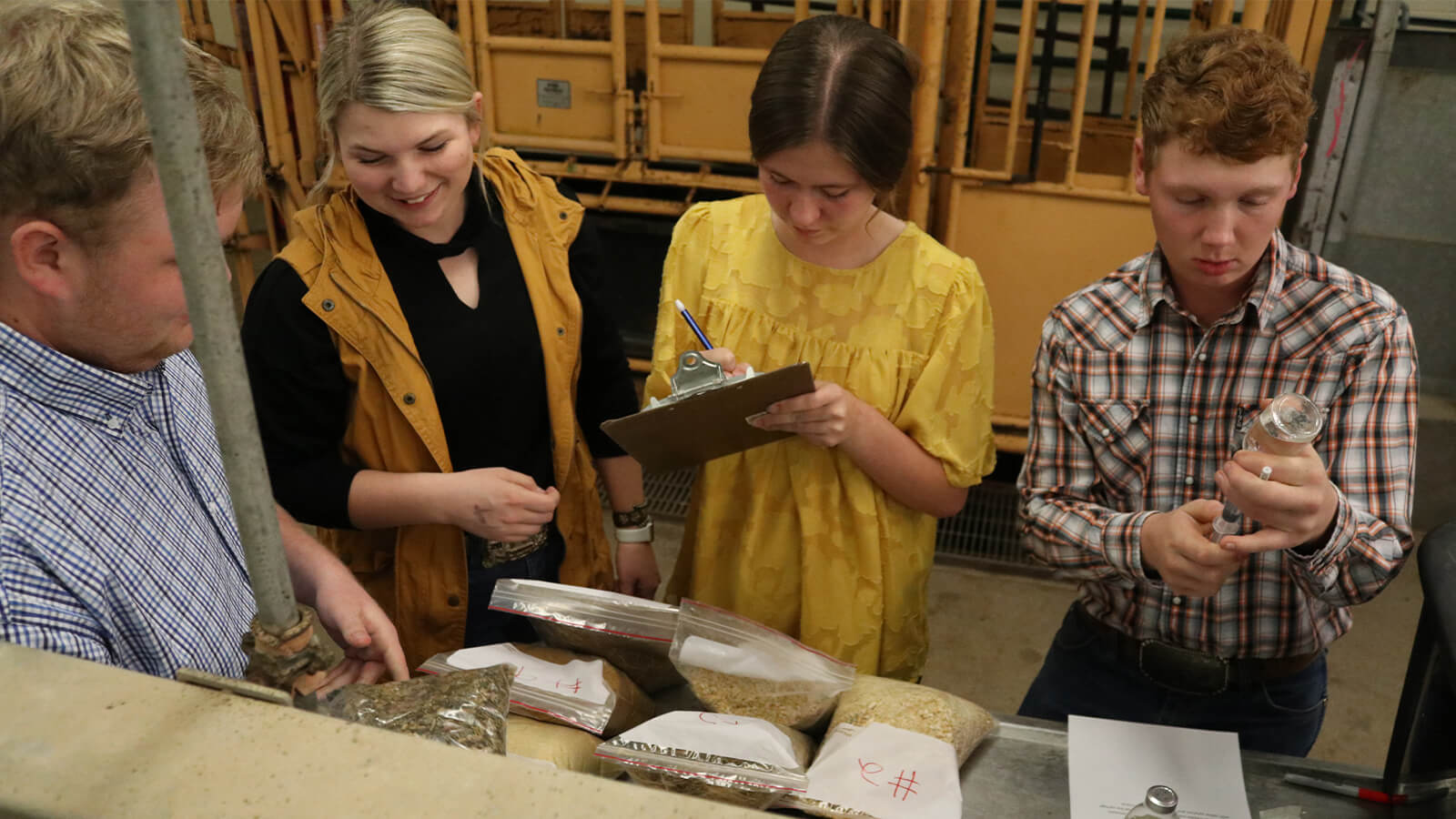 Four students catalogue zip-lock bags of grains and seeds.