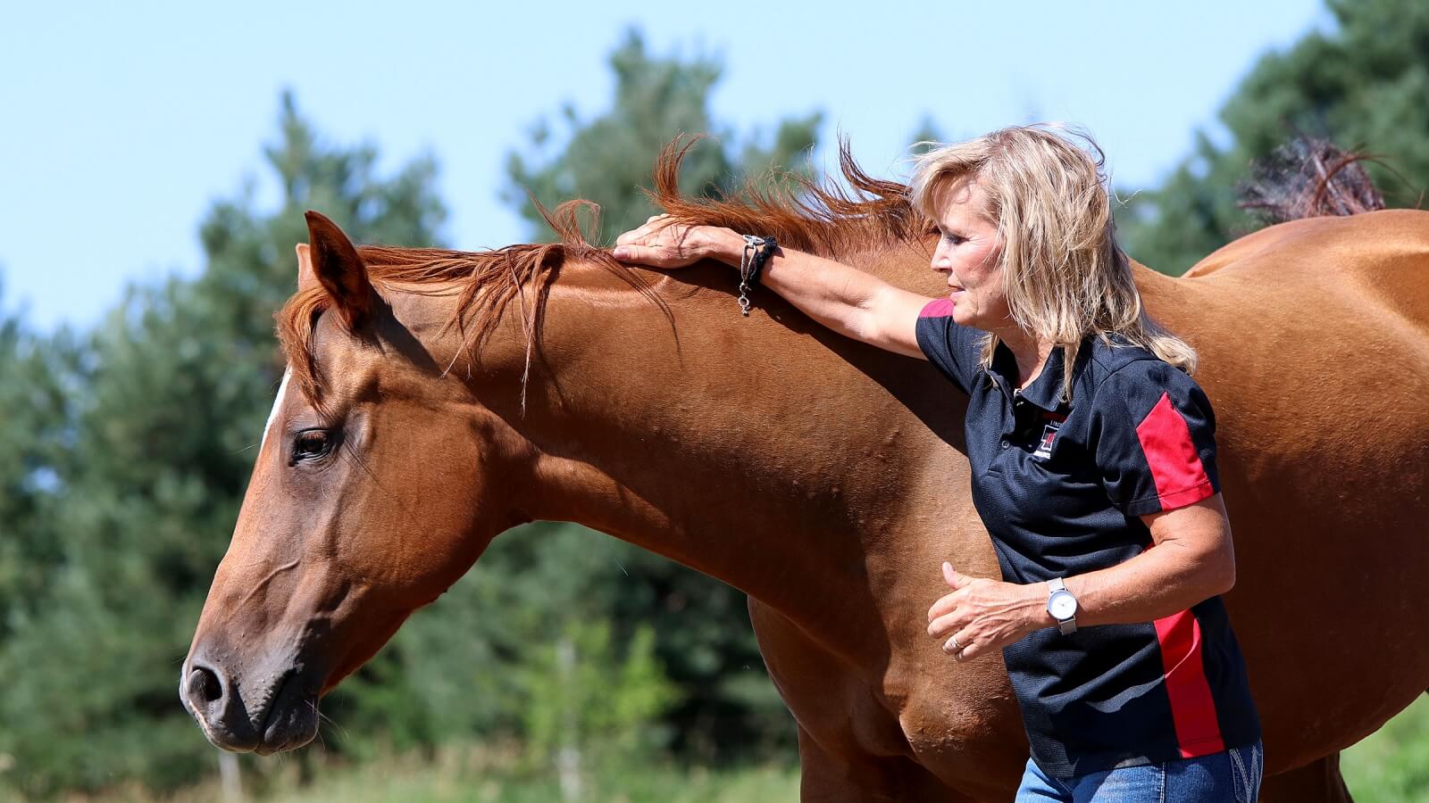 a horse and a woman in a pasture