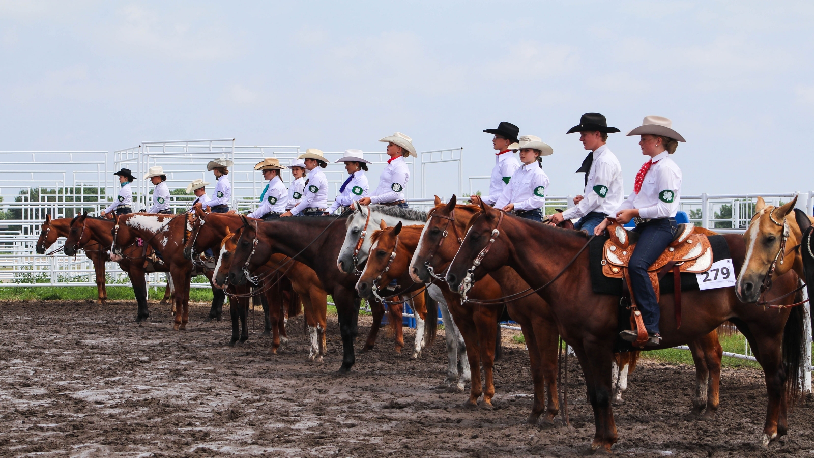 participants competing in a horse show