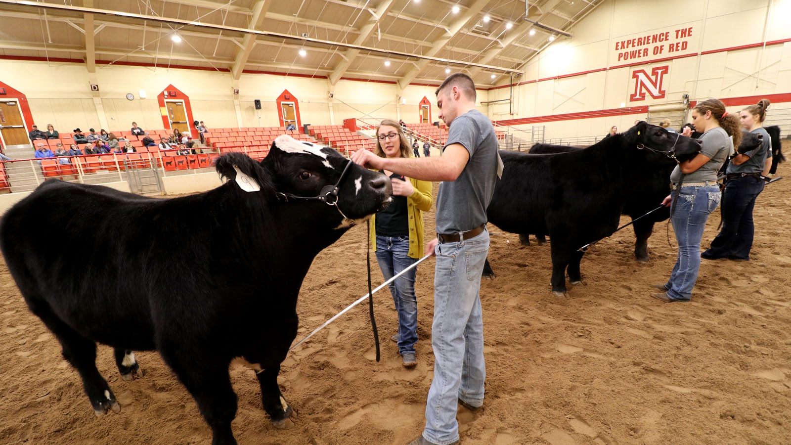 competitors at the Little AKSARBEN stock show