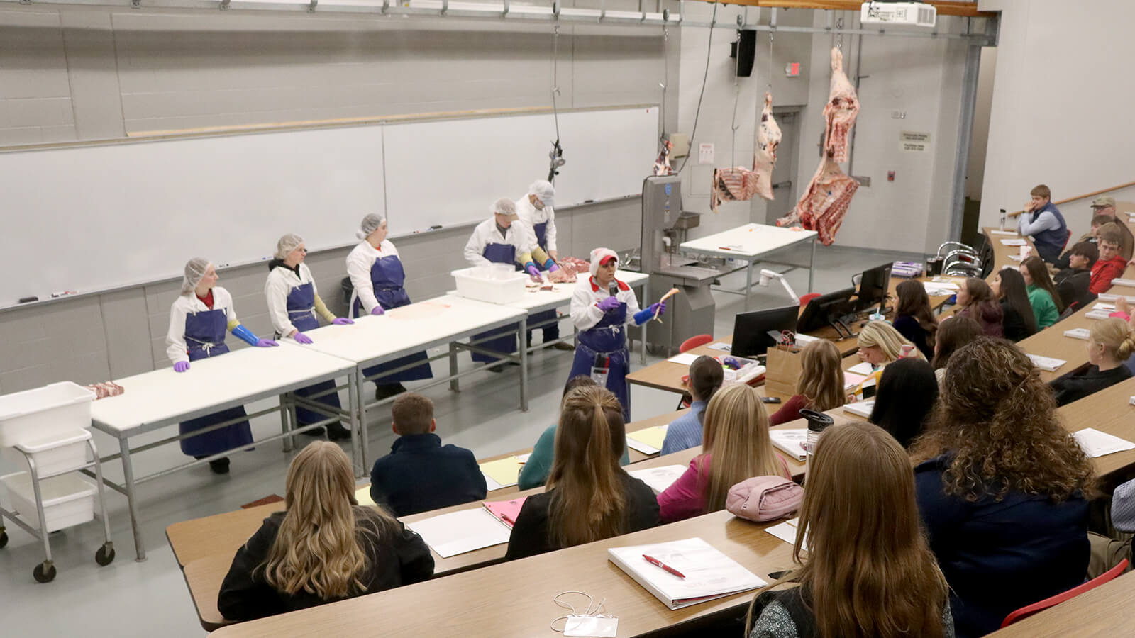 students learning about beef fabrication