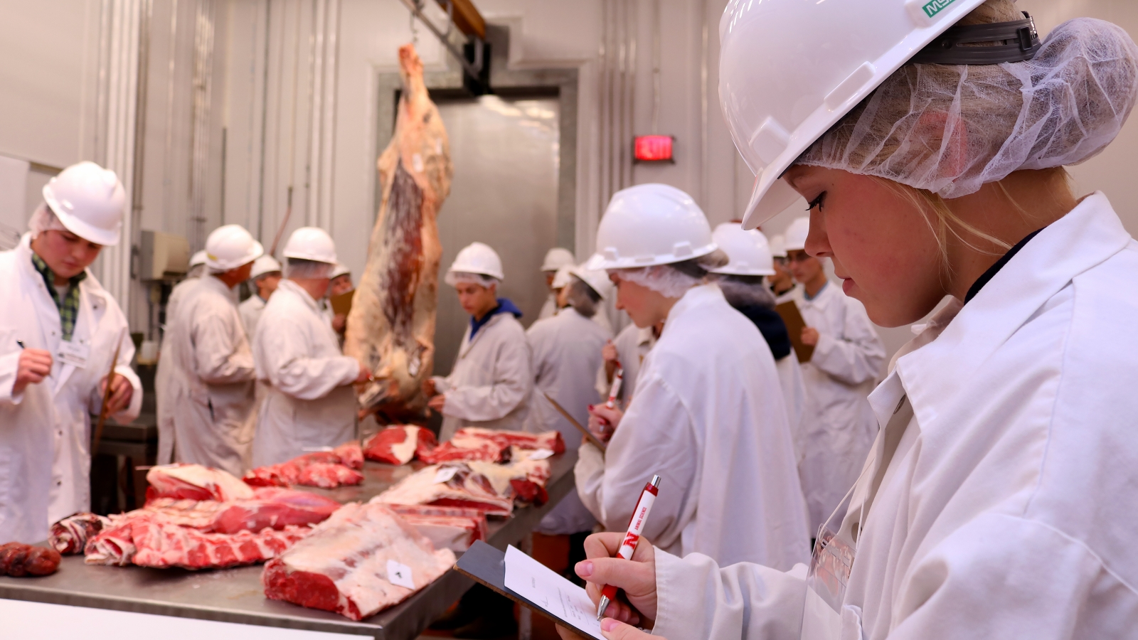 students in the meat lab grading meat cuts