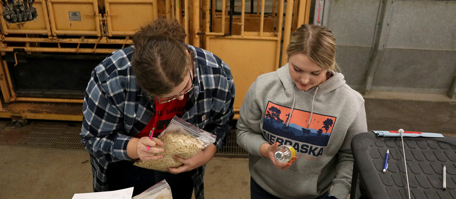 students looking at samples