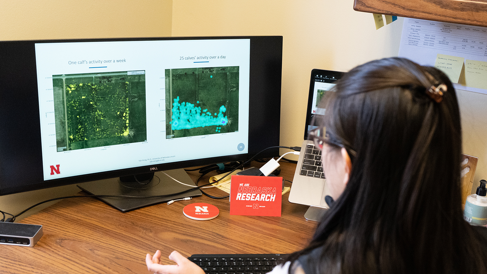 Assistant Professor Yijie Xiong looking at GPS data of cattle movements on a computer