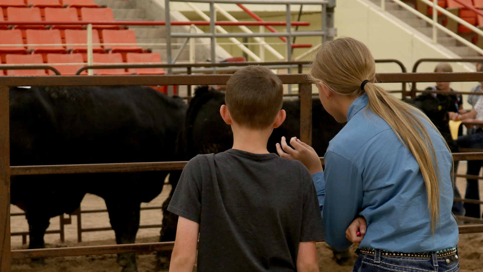 a boy and girl judging beef cattle