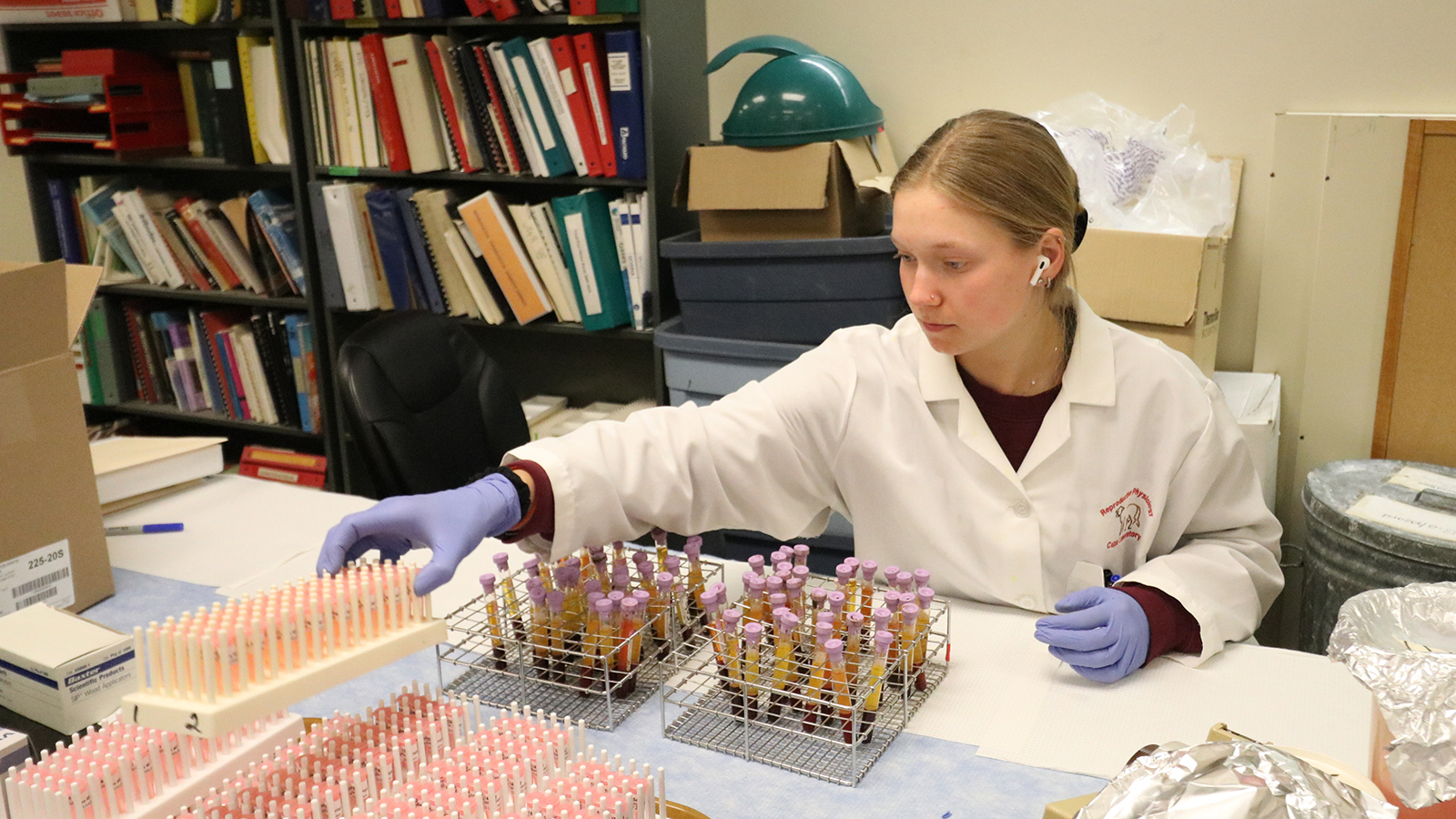 student working in a lab