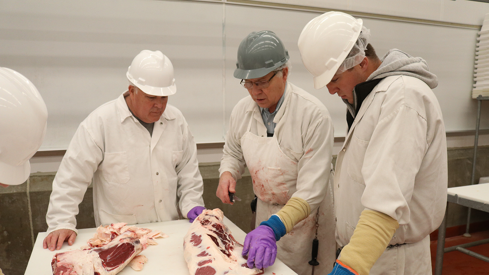 Faculty and staff teaching a student how to cut beef