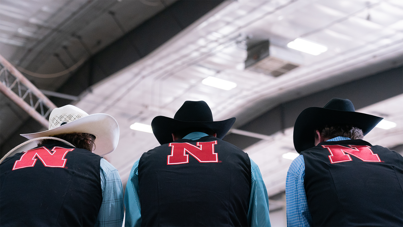 three rodeo athletes facing away from the camera