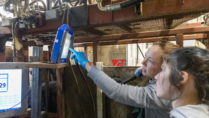 Sierra Rush, DMV, helping producers apply research-based practices to their operation