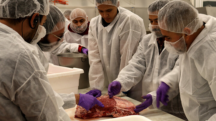A group works on their product development project