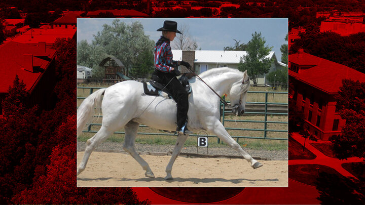 The University of Nebraska—Lincoln Department of Animal Science Extension will host its Western Dressage Clinic: What’s it all About in August. Frances Carbonnel of Castle Rock, Colo. will the the featured speaker, a United States Dressage Federation Bronze, Silver and Gold medalist. 