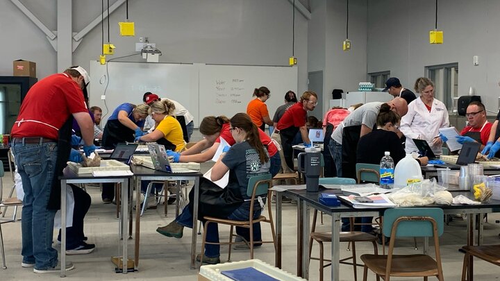 students at dissection tables