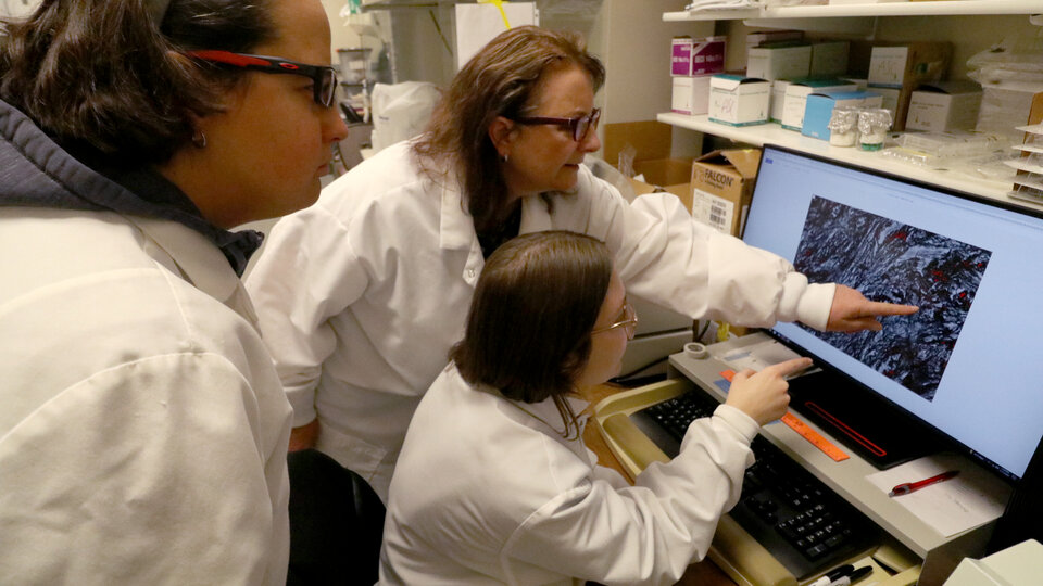 a student and faculty look over slides