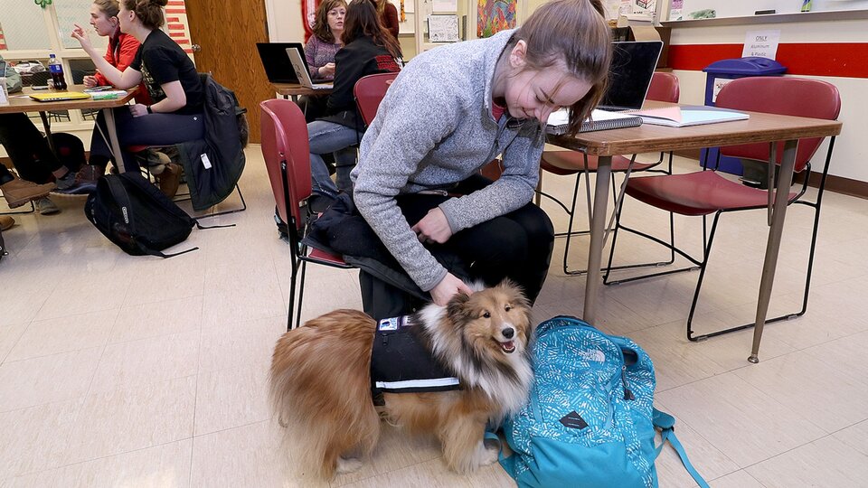 a student petting a therapy dog